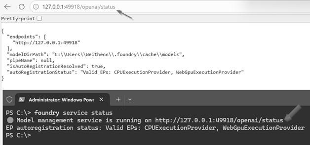 圖12 確認Foundry Local的API Endpoints正常運作中。