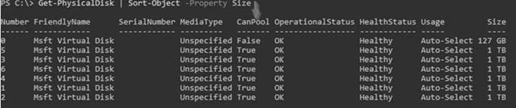 圖12 確保系統識別6個1TB儲存空間的vDisk虛擬硬碟且CanPool欄位為True。