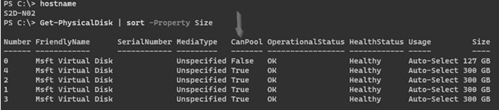 圖9 確保系統正確識別4顆300GB的vDisk虛擬硬碟且CanPool欄位為True。
