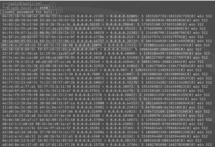 圖7 在終端機輸入指令「sudo macof -i eth0」。